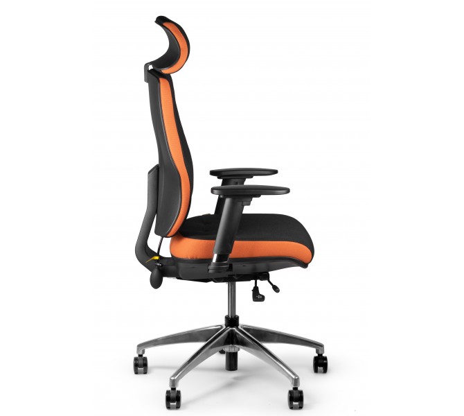 Купить эргономичное кресло Barsky Air Pump Up AP-01