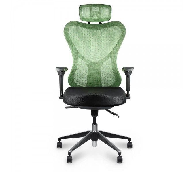 Купити ергономічне дихаюче крісло Barsky Butterfly Green Fly-04 для дому