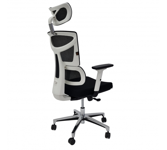 Купить кресло с гибкими регулировками Barsky ECO White G-11 slider