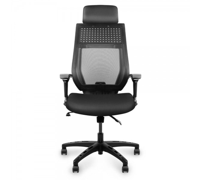 Купить кресло с динамической поддержкой поясницы Barsky Team Black/Grey TBG-01