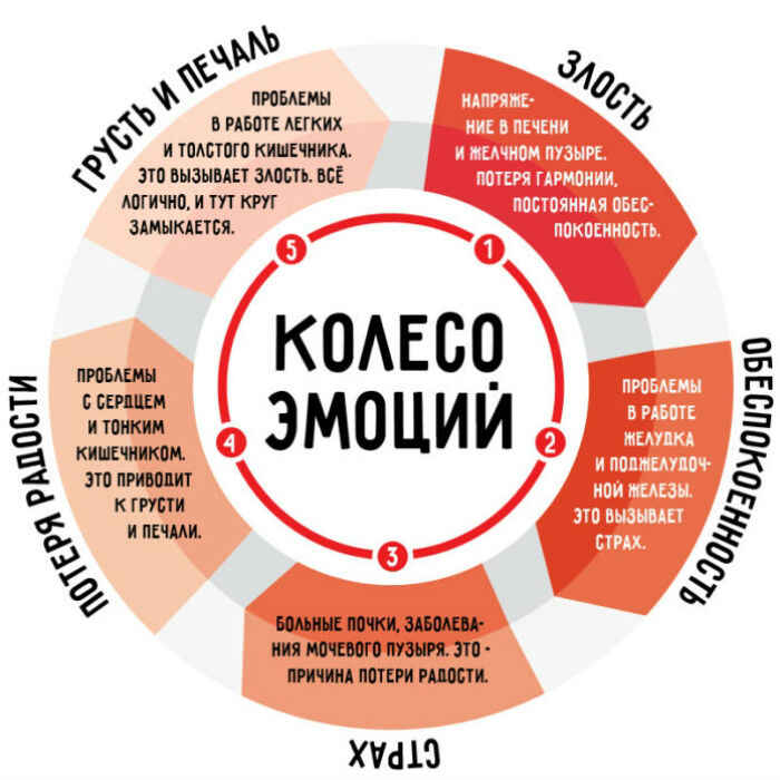 мягкое релаксационное кресло