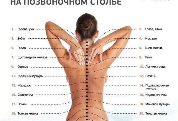 если болит спина сидя в кресле